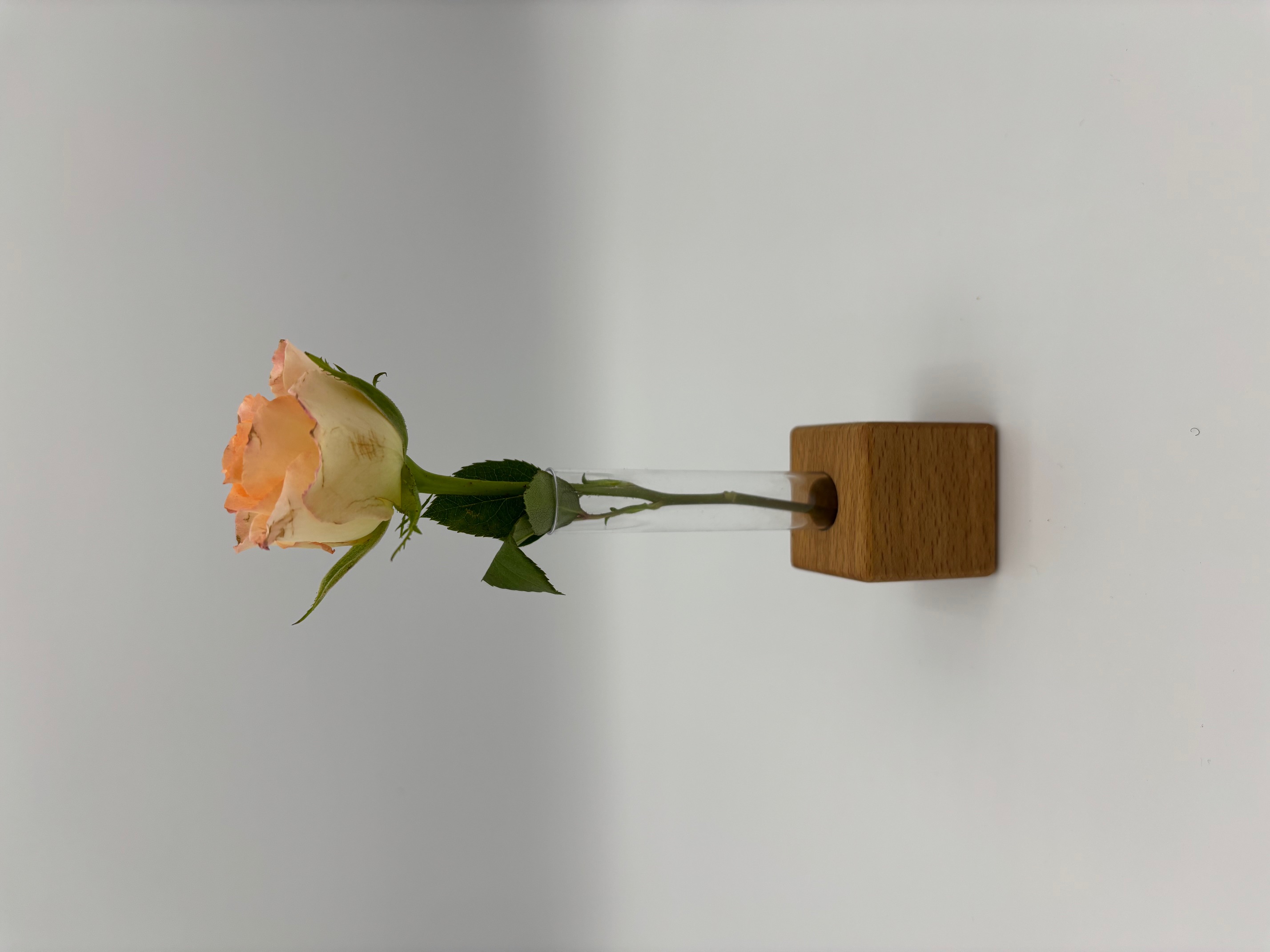 1er Vase
